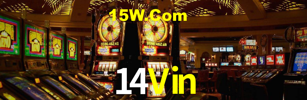14Vin: A Experiência de Casino com Jogos de Mesa ao Vivo